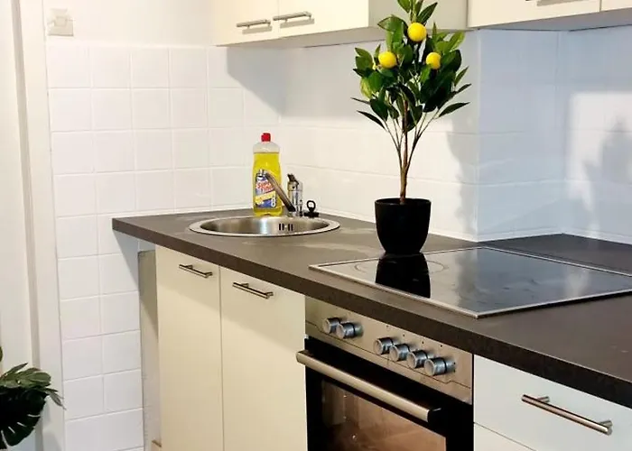 3 In - Free Parking - Self Check In Lägenhet Linz