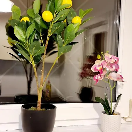 Apartament 3 In - Free Parking - Self Check In *